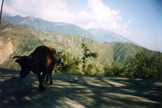 gal/Tome_I/Film_04/voyageben04_002.jpg