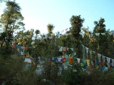 gal/Tome_I/Photos_de_Maryse/IndiaMcLeodGanjDalaiLamaPalais1.jpg