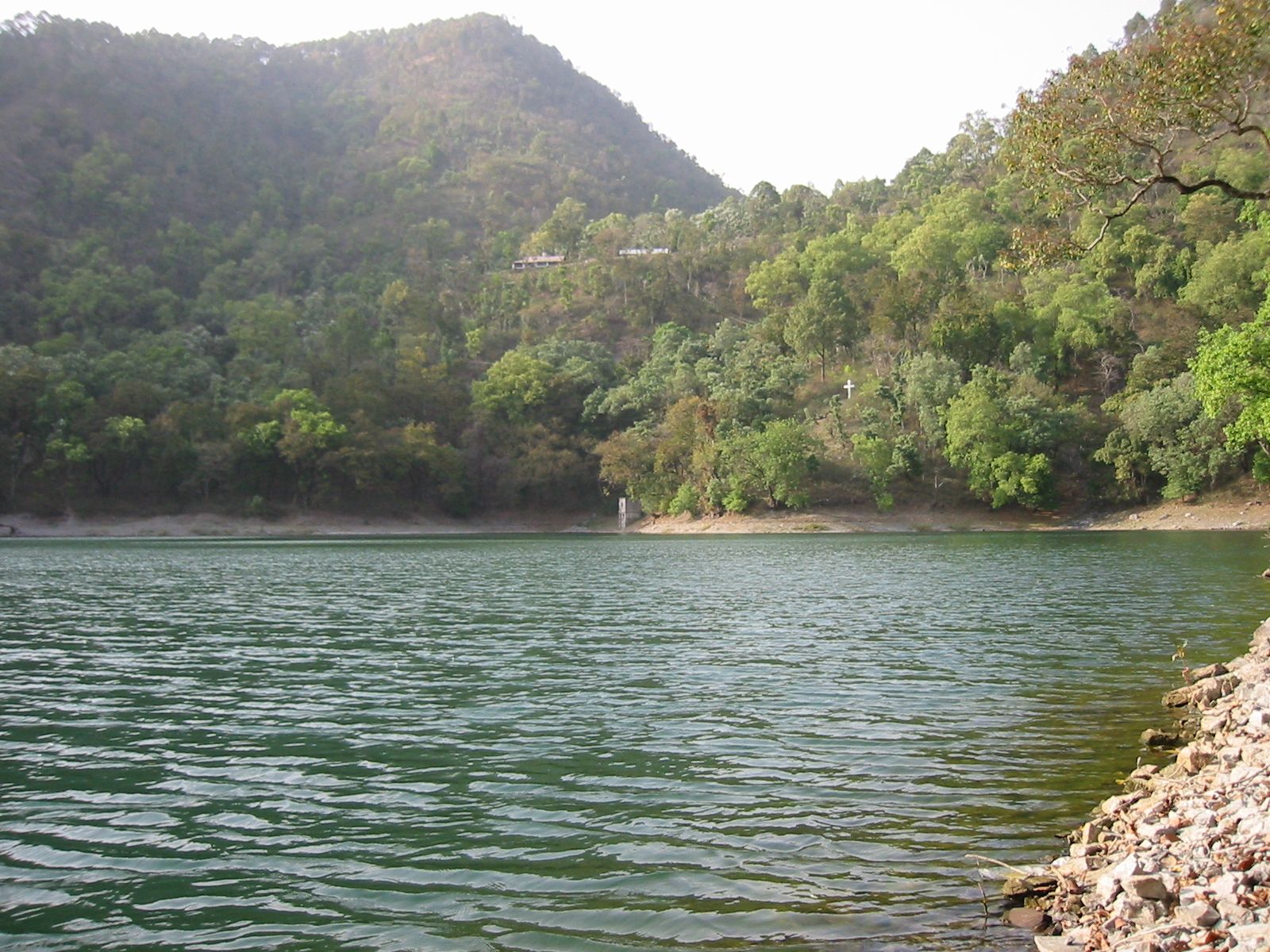 152-5223_IMG.JPG