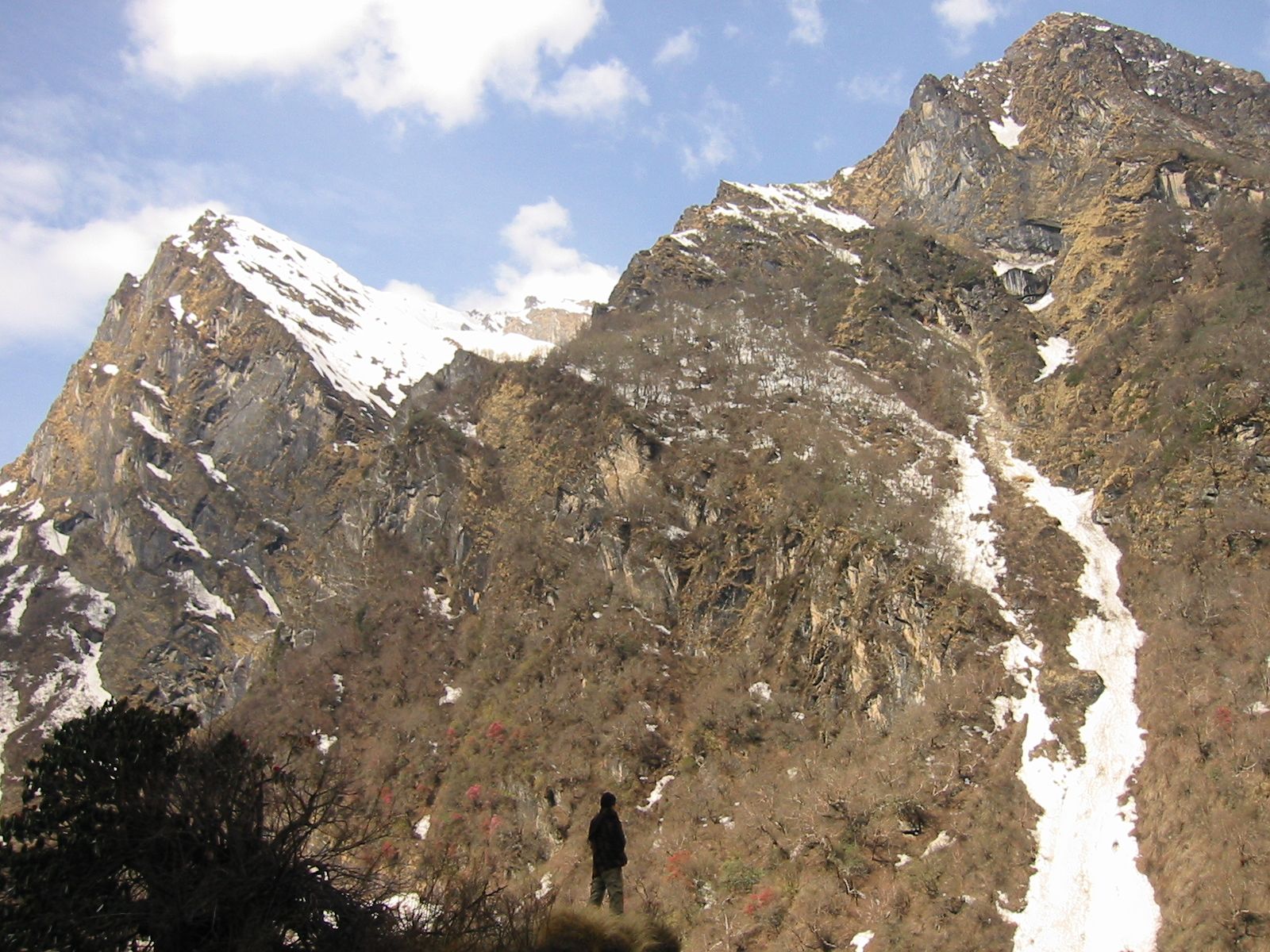 152-5292_IMG.JPG