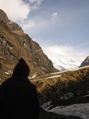 Cliquez pour voir l'image en taille réelle