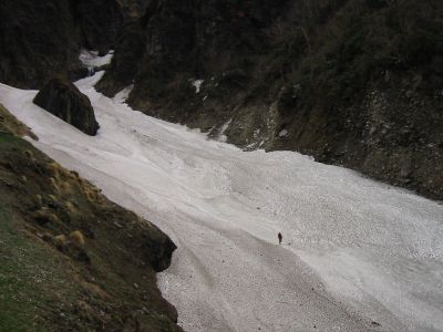 Cliquez pour voir l'image en taille réelle