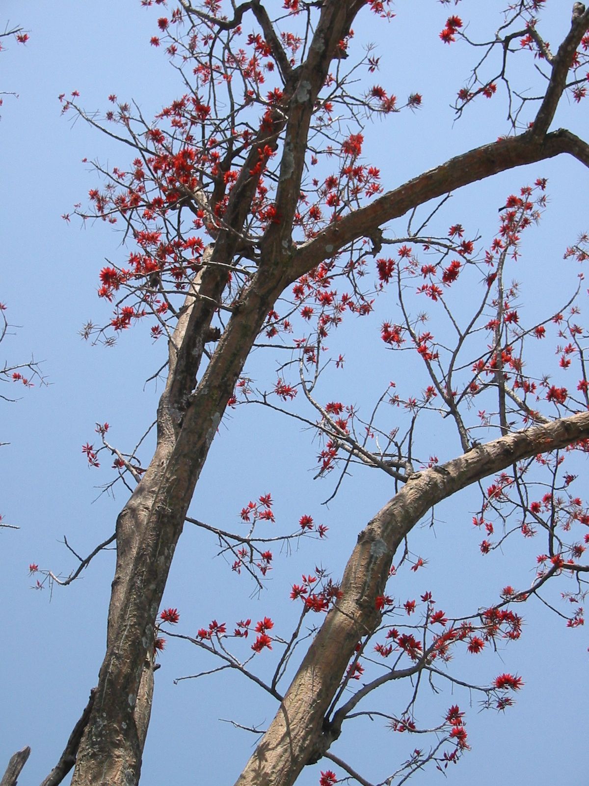 153-5341_IMG.JPG