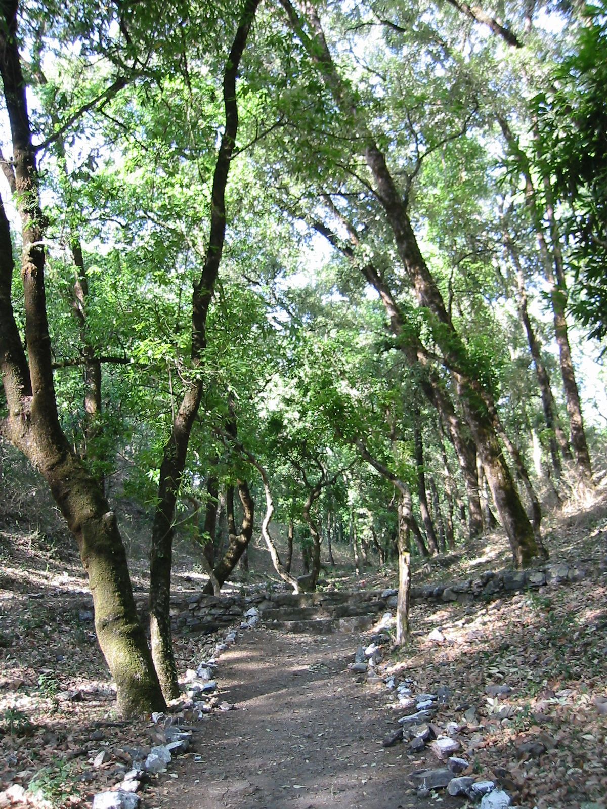 154-5432_IMG.JPG