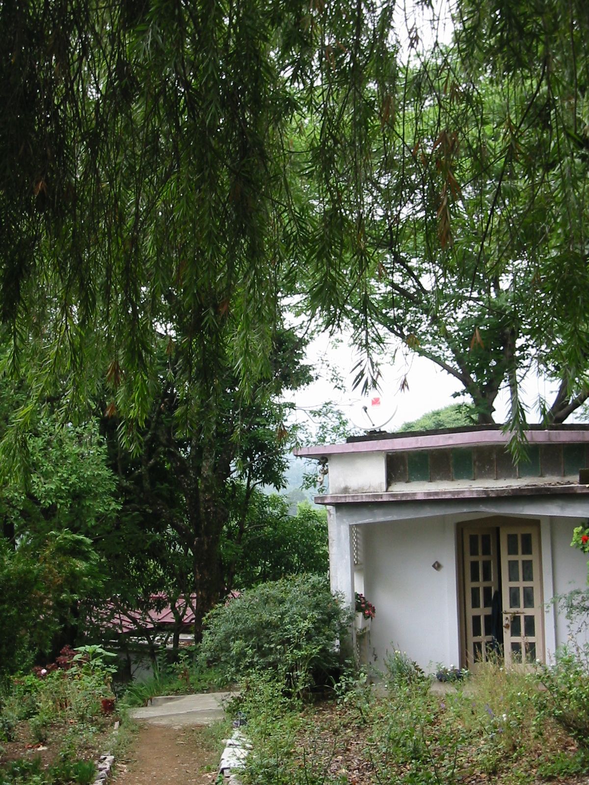 155-5541_IMG.JPG