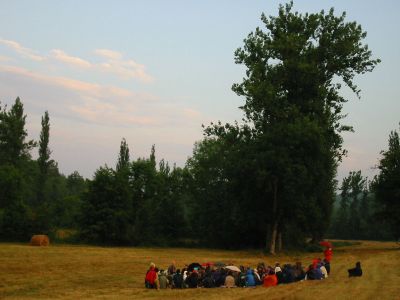 Cliquez pour voir l'image en taille réelle