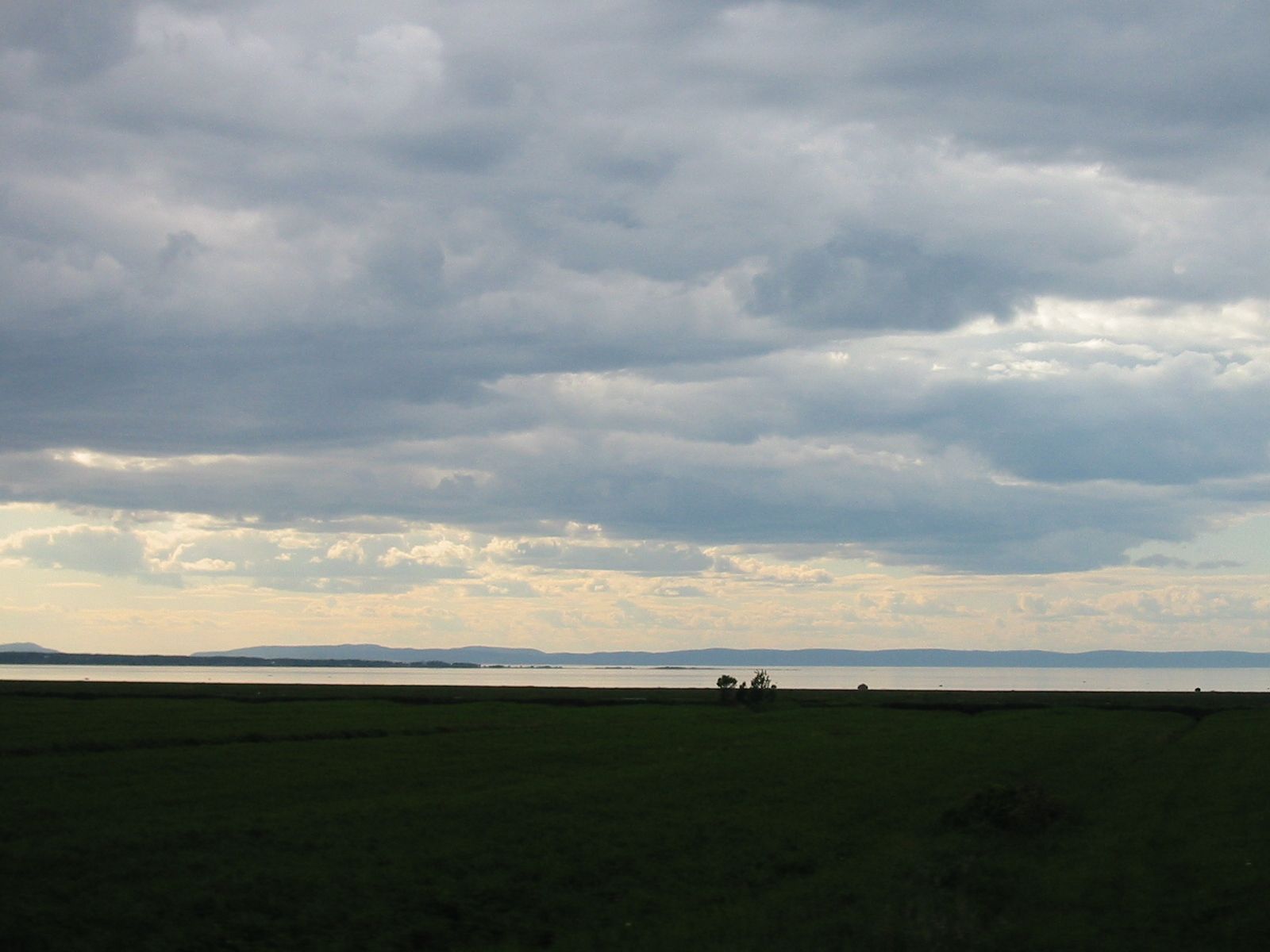 164-6432_IMG.JPG