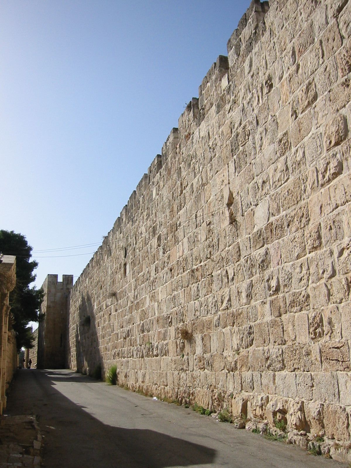 172-7266_IMG.JPG