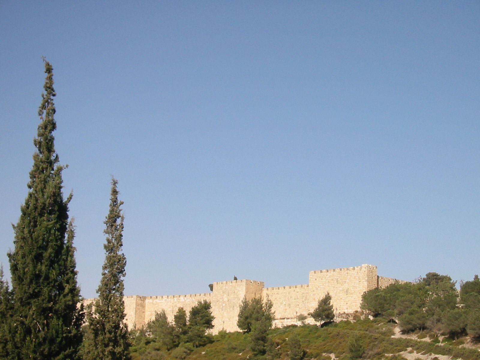 172-7270_IMG.JPG
