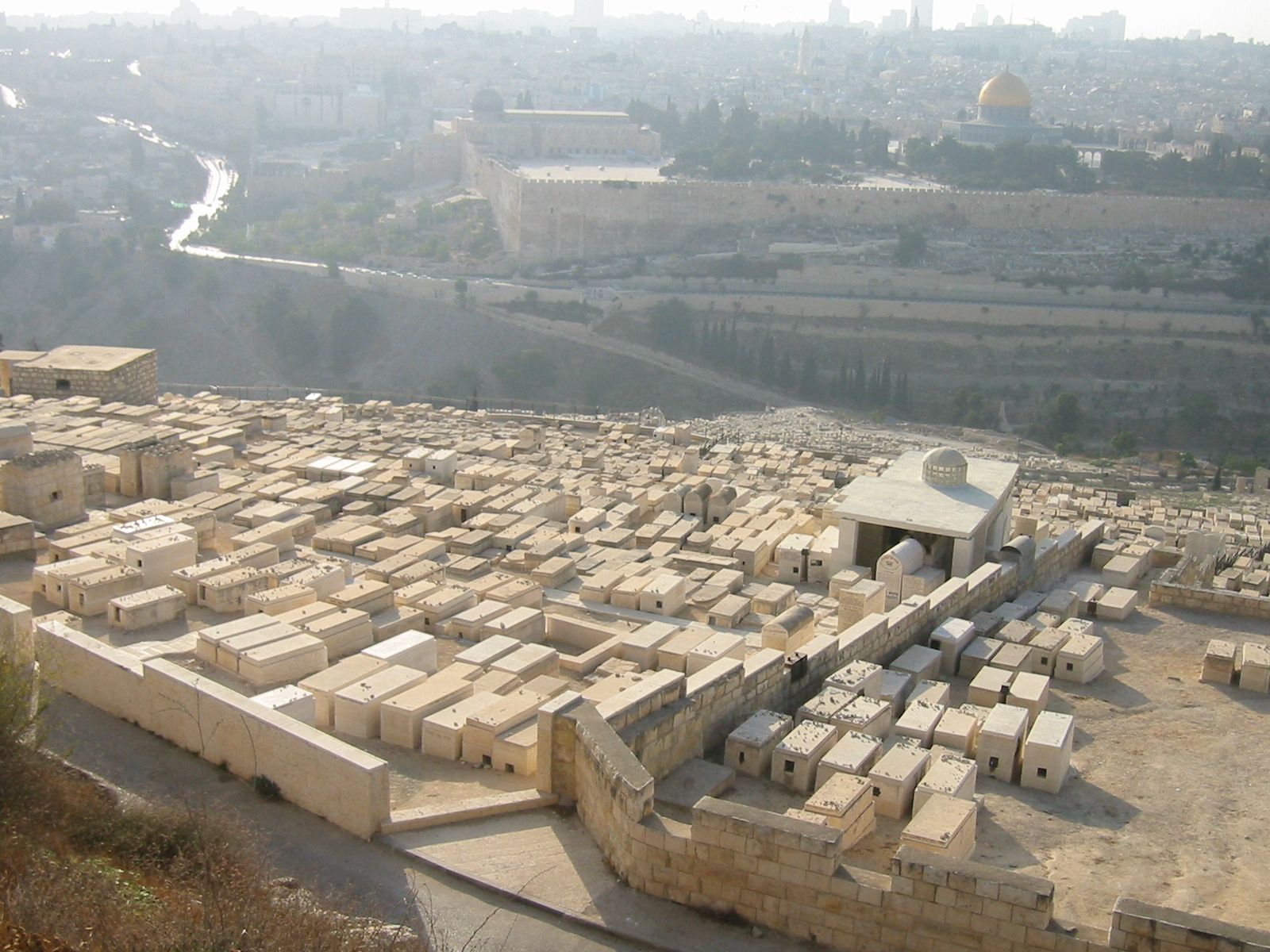 172-7300_IMG.JPG