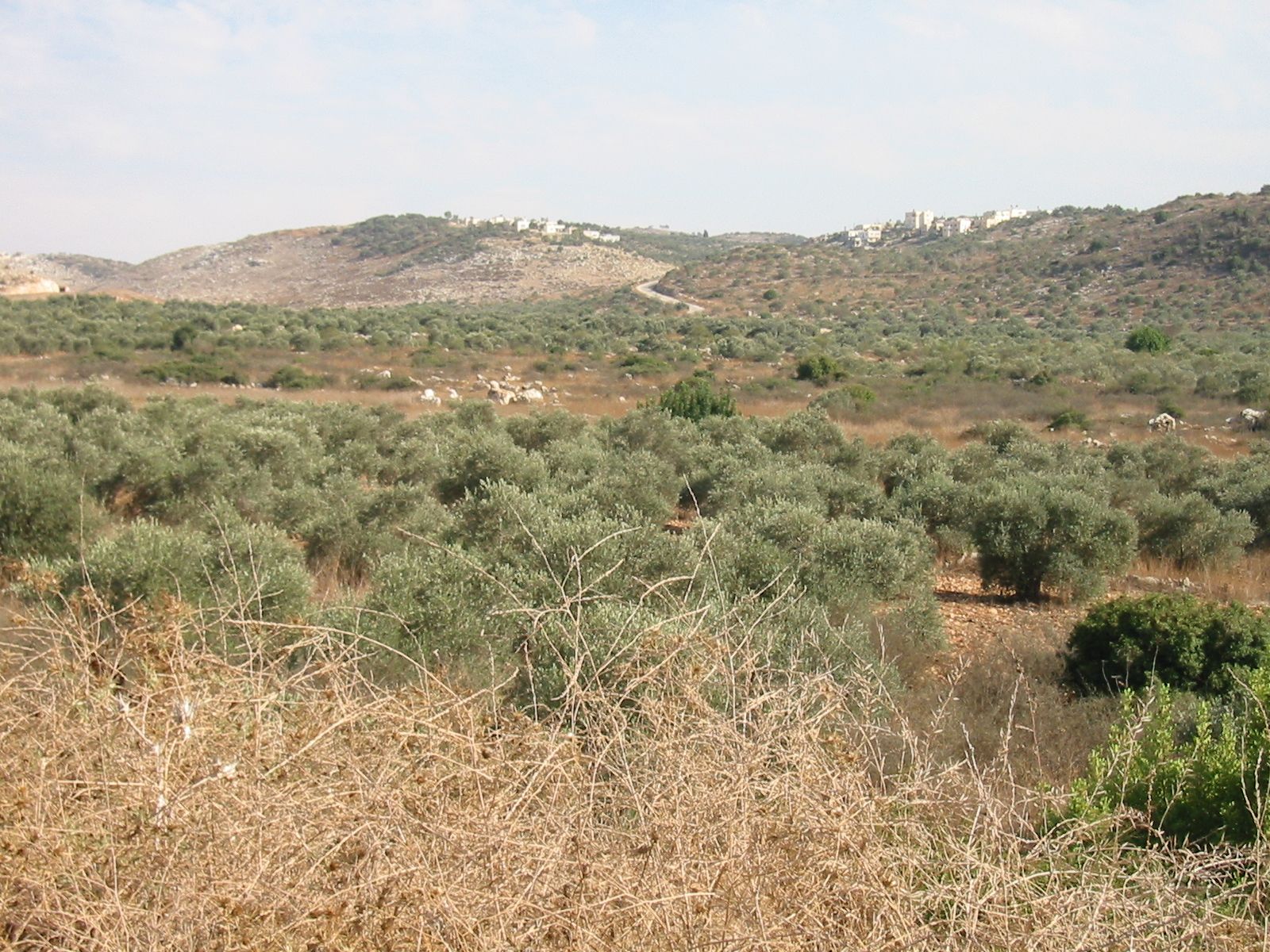 174-7427_IMG.JPG