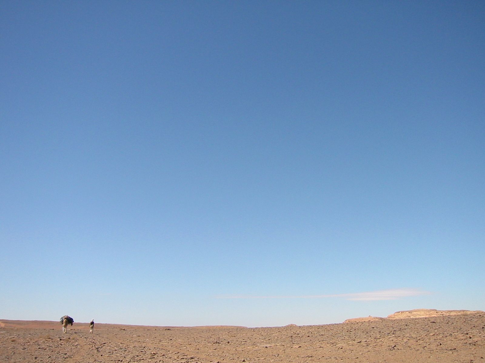 177-7709_IMG.JPG
