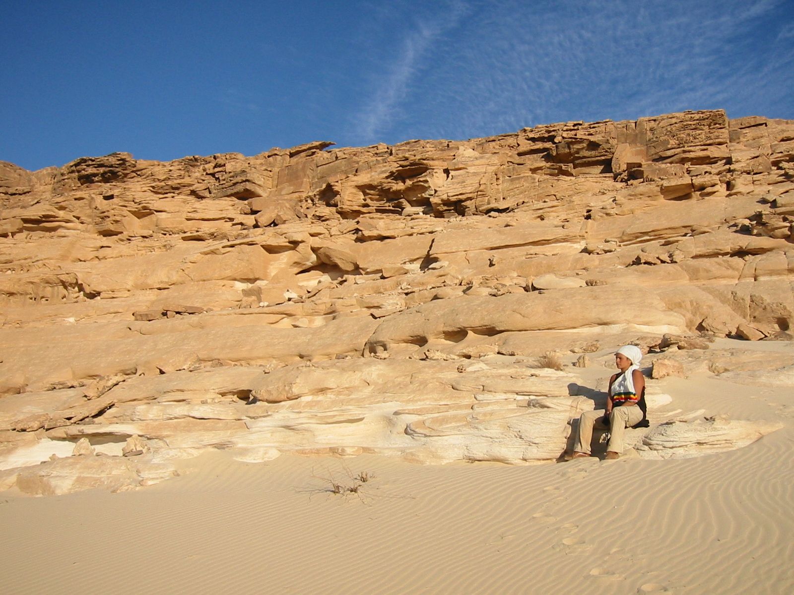 177-7774_IMG.JPG