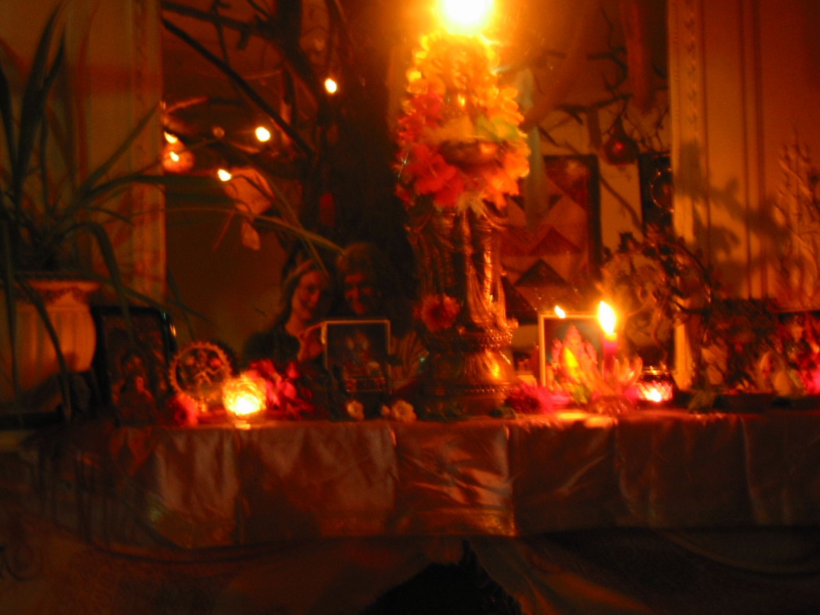186-8629_IMG.JPG