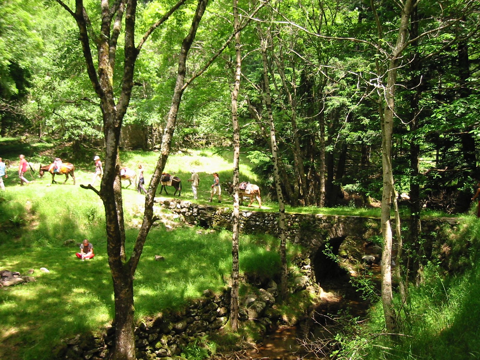 189-8940_IMG.JPG