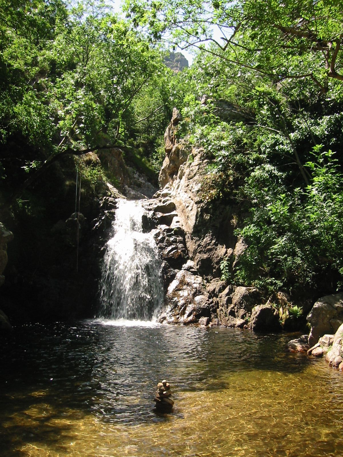 189-8978_IMG.JPG